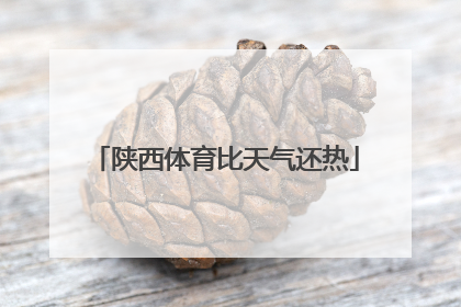 陕西体育比天气还热
