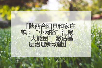 陕西合阳县和家庄镇：“小网格”汇聚“大能量” 激活基层治理新动能