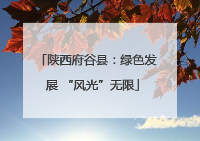 陕西府谷县：绿色发展 “风光”无限