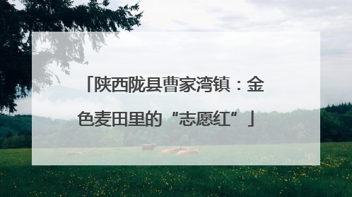 陕西陇县曹家湾镇：金色麦田里的“志愿红”