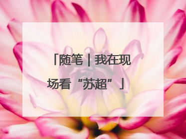 随笔｜我在现场看“苏超”