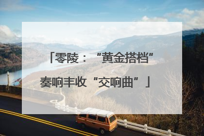 零陵：“黄金搭档”奏响丰收“交响曲”