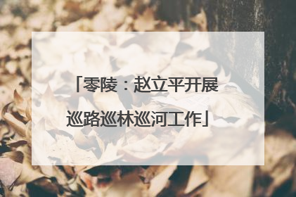 零陵：赵立平开展巡路巡林巡河工作