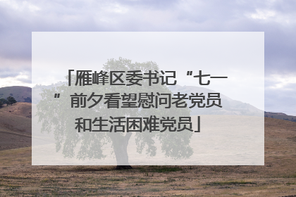 雁峰区委书记“七一”前夕看望慰问老党员和生活困难党员