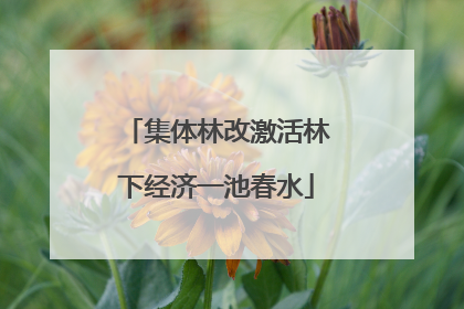 集体林改激活林下经济一池春水