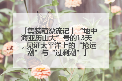 集装箱漂流记丨“地中海亚历山大”号的13天，见证太平洋上的“抢运潮”与“过剩潮”