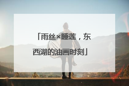 雨丝×睡莲，东西湖的油画时刻