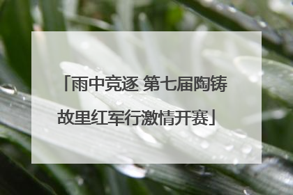 雨中竞逐 第七届陶铸故里红军行激情开赛