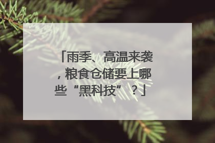 雨季、高温来袭，粮食仓储要上哪些“黑科技”？