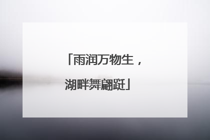 雨润万物生，湖畔舞翩跹