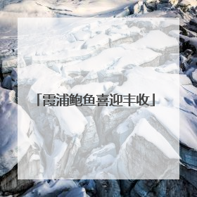 霞浦鲍鱼喜迎丰收