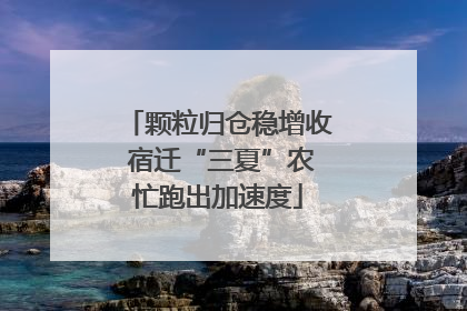 颗粒归仓稳增收 宿迁“三夏”农忙跑出加速度