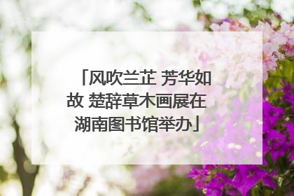 风吹兰芷 芳华如故 楚辞草木画展在湖南图书馆举办