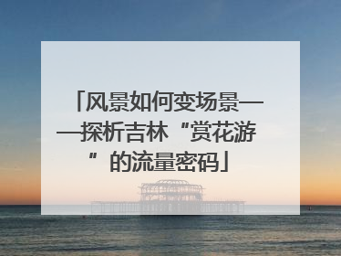 风景如何变场景——探析吉林“赏花游”的流量密码