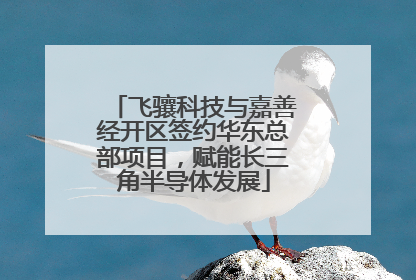 飞骧科技与嘉善经开区签约华东总部项目，赋能长三角半导体发展