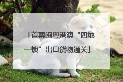首票闽粤港澳“四地一锁”出口货物通关