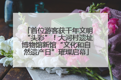 首位游客获千年文明“头彩”！大河村遗址博物馆新馆“文化和自然遗产日”璀璨启幕
