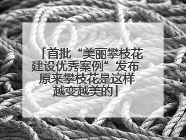 首批“美丽攀枝花建设优秀案例”发布 原来攀枝花是这样越变越美的