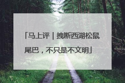 马上评｜拽断西湖松鼠尾巴，不只是不文明