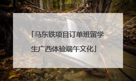 马东铁项目订单班留学生广西体验端午文化