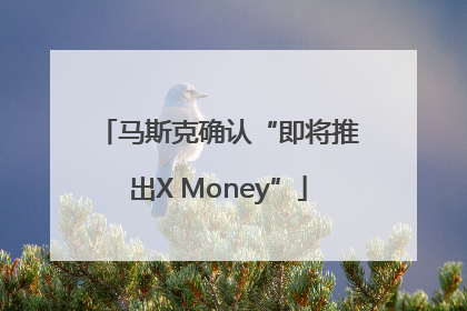 马斯克确认“即将推出X Money”