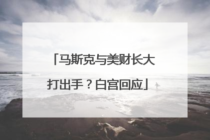 马斯克与美财长大打出手？白宫回应