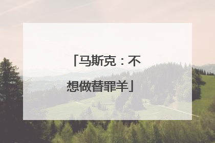 马斯克：不想做替罪羊