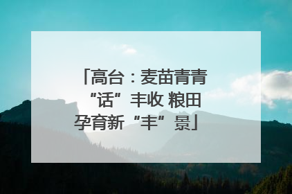 高台：麦苗青青“话”丰收 粮田孕育新“丰”景