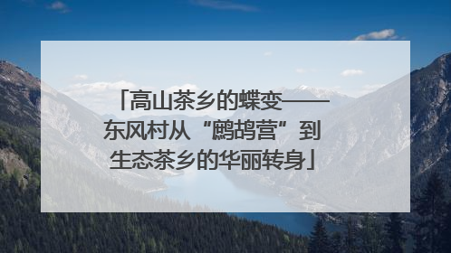高山茶乡的蝶变——东风村从“鹧鸪营”到生态茶乡的华丽转身