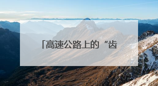 高速公路上的“齿轮党员”——让我们一起走进甘肃省劳动模范殷化玉的故事