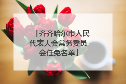 齐齐哈尔市人民代表大会常务委员会任免名单