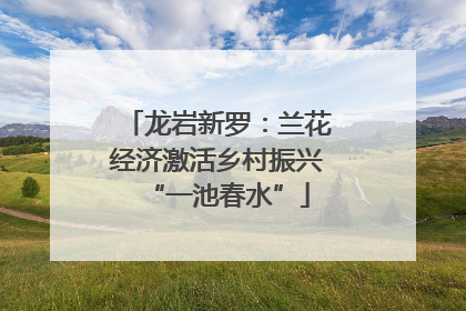 龙岩新罗：兰花经济激活乡村振兴“一池春水”