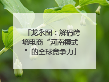 龙永图：解码跨境电商“河南模式”的全球竞争力