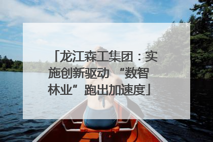 龙江森工集团：实施创新驱动 “数智林业”跑出加速度