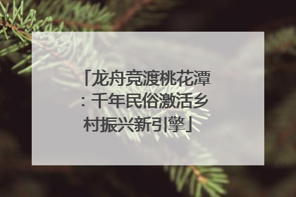 龙舟竞渡桃花潭：千年民俗激活乡村振兴新引擎