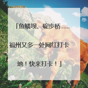 鱼鳞坝、碇步桥……福州又多一处网红打卡地！快来打卡！