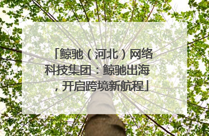 鲸驰（河北）网络科技集团：鲸驰出海，开启跨境新航程