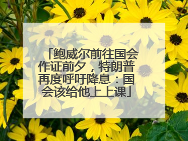 鲍威尔前往国会作证前夕，特朗普再度呼吁降息：国会该给他上上课