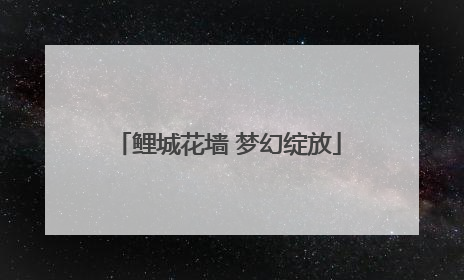 鲤城花墙 梦幻绽放