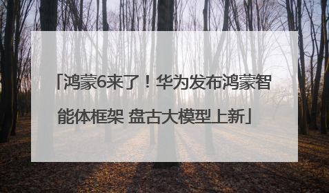 鸿蒙6来了！华为发布鸿蒙智能体框架 盘古大模型上新