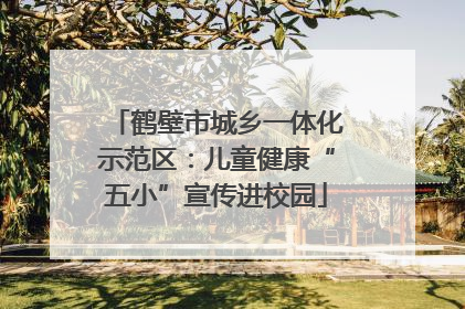 鹤壁市城乡一体化示范区：儿童健康“五小”宣传进校园
