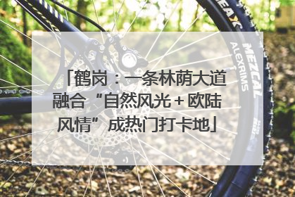 鹤岗：一条林荫大道融合“自然风光＋欧陆风情”成热门打卡地