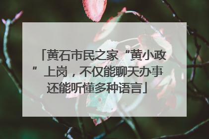 黄石市民之家“黄小政”上岗，不仅能聊天办事还能听懂多种语言