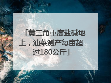 黄三角重度盐碱地上，油菜测产每亩超过180公斤