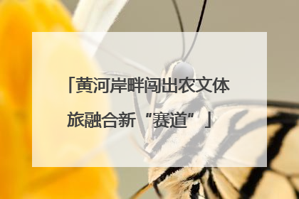 黄河岸畔闯出农文体旅融合新“赛道”