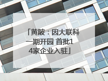 黄陂：因大联科一期开园 首批14家企业入驻