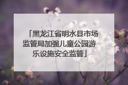 黑龙江省明水县市场监管局加强儿童公园游乐设施安全监管