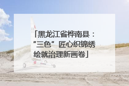 黑龙江省桦南县：“三色”匠心织锦绣 绘就治理新画卷