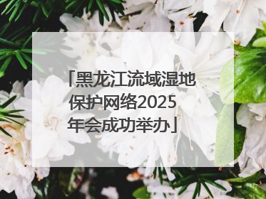 黑龙江流域湿地保护网络2025年会成功举办