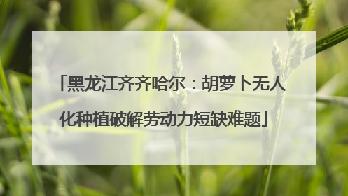 黑龙江齐齐哈尔：胡萝卜无人化种植破解劳动力短缺难题